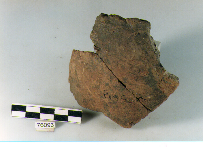 scodella, tipo F20 Ripoli - neolitico finale-Ripoli III (IV MILLENNIO a.C)