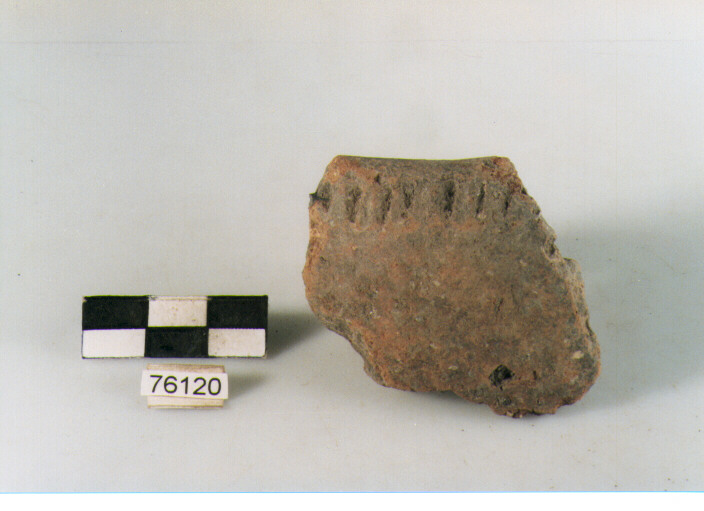 orlo, tipo E12 a1 Ripoli - neolitico finale-Ripoli III (IV MILLENNIO a.C)