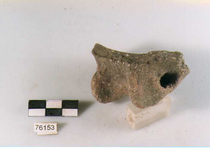 ansa tubolare insellata, tipo A8 Ripoli - neolitico finale-Ripoli III (IV MILLENNIO a.C)