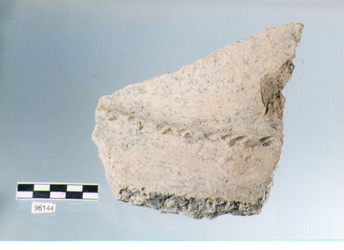 dolio cordonato/ parete, pareti di dolii, tipo 1C, Archi (bronzo finale/ ferro)