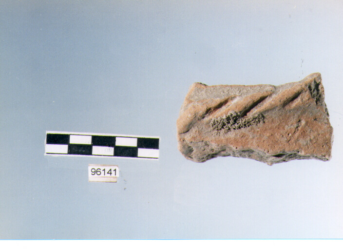 dolio cordonato/ parete, pareti di dolii, tipo 1C, Archi (bronzo finale/ ferro)