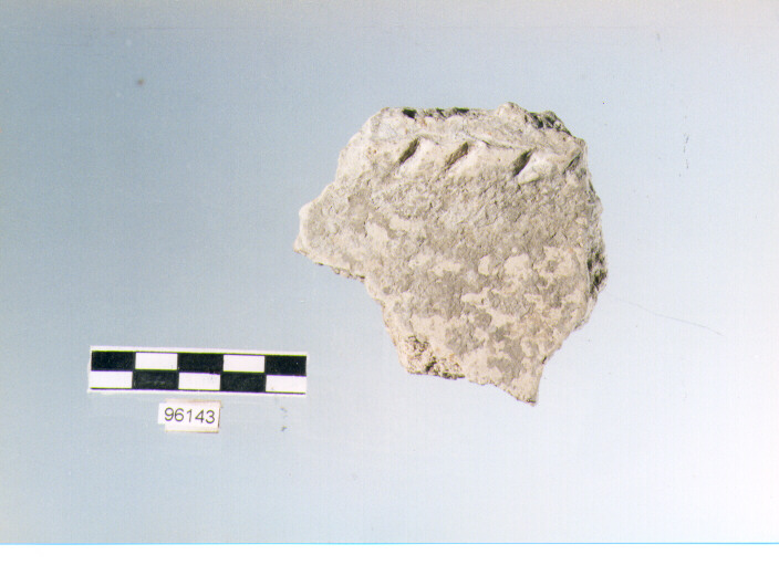 dolio cordonato/ parete, pareti di dolii, tipo 1C, Archi (bronzo finale/ ferro)