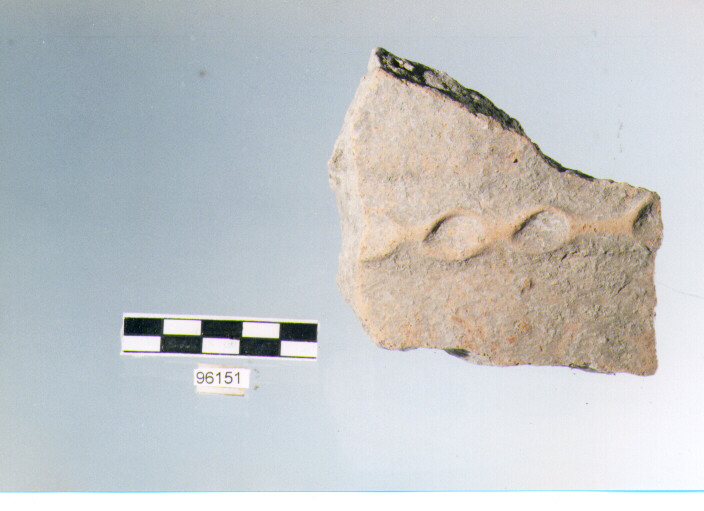 dolio cordonato/ parete, pareti di dolii, tipo 1B, Archi (bronzo finale/ ferro)