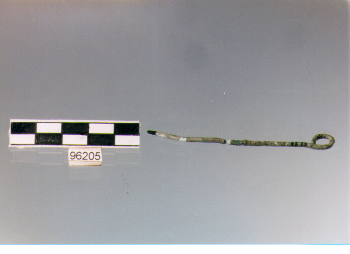 fibula/ frammento, aghi di fibula, Archi (BF/ prima età del Ferro)