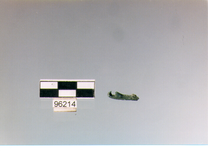 pendaglio/ frammento (BF/ prima età del Ferro)