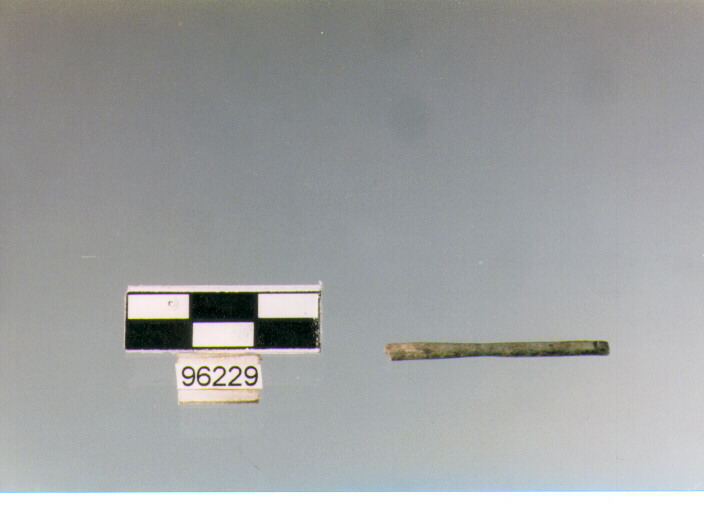 ago/ frammento, aghi, Archi (BF/ prima età del Ferro)