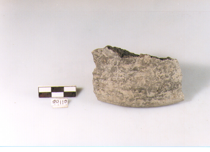 coperchio, coperchi, tipo 4A, Archi (BF/ prima età del Ferro)