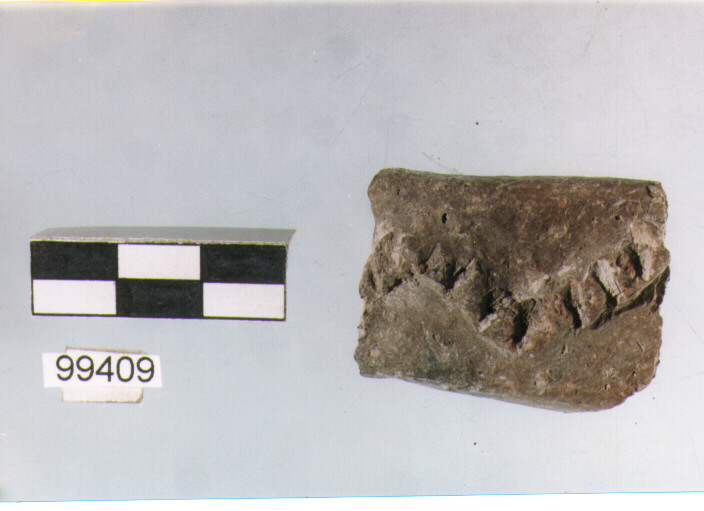 ansa a nastro, tipo A2, Ortucchio - eneolitico (III MILLENNIO a.C)