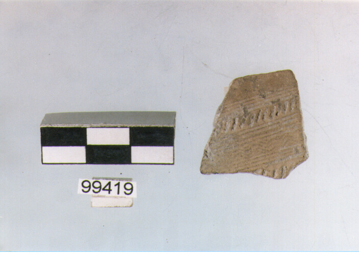 parete, tipo E6a1, Ortucchio - eneolitico (III MILLENNIO a.C)