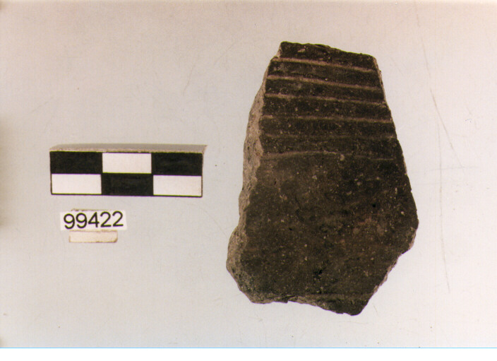 parete, tipo E6a1, Ortucchio - eneolitico (III MILLENNIO a.C)