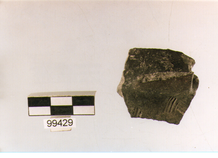 attacco di ansa, tipo A4b, Ortucchio - eneolitico (III MILLENNIO a.C)