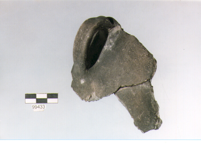 parete, tipo E6a1, Ortucchio - eneolitico (III MILLENNIO a.C)