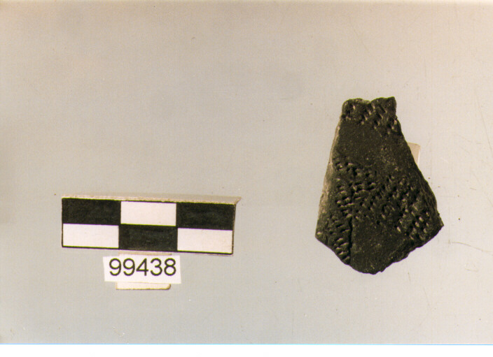 parete, tipo E6a1, Ortucchio - eneolitico (III MILLENNIO a.C)