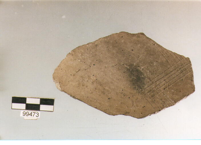 parete, tipo E6a1, Ortucchio - eneolitico (seconda metà III MILLENNIO a.C)