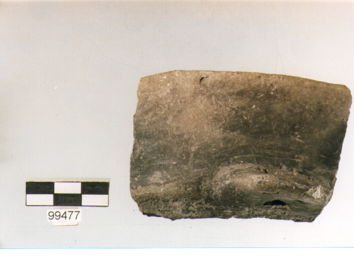 orlo, tipo E5, Ortucchio - eneolitico (seconda metà III MILLENNIO a.C)