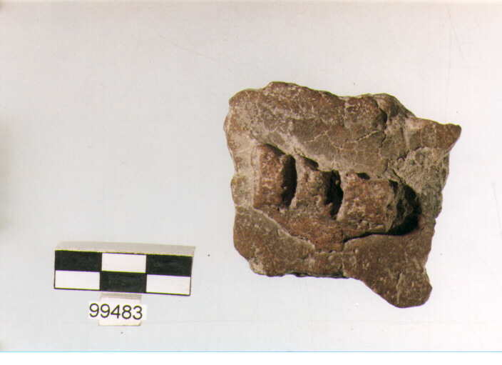 parete cordonata, tipo E7, Ortucchio - eneolitico (seconda metà III MILLENNIO a.C)