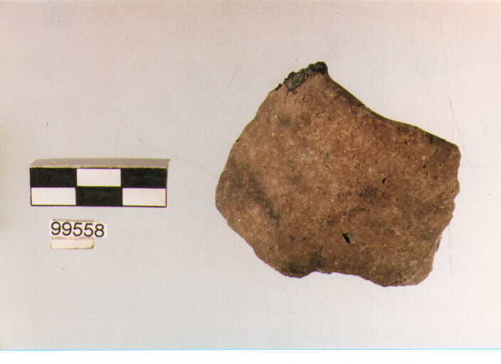 ansa a nastro, tipo A2, Ortucchio - eneolitico (III MILLENNIO a.C)