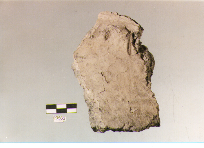 parete cordonata, tipo E7, Ortucchio - eneolitico (III MILLENNIO a.C)