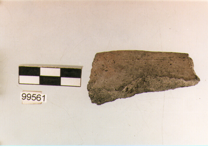 orlo, tipo E5a1, Ortucchio - eneolitico (III MILLENNIO a.C)