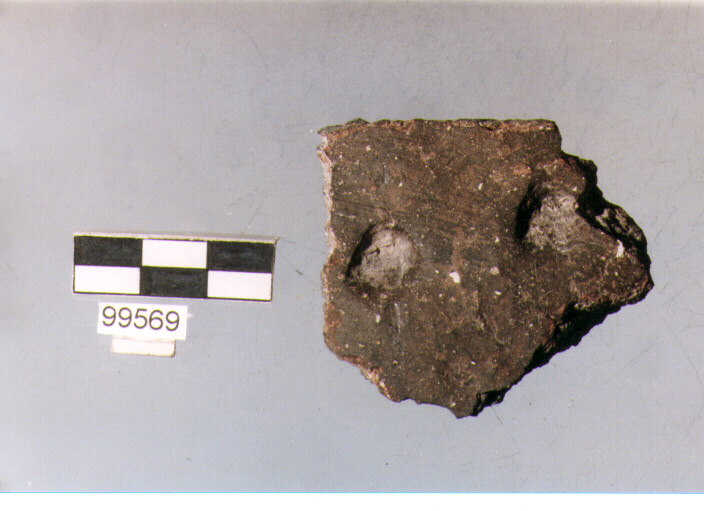 parete, tipo E6a1, Ortucchio - eneolitico (III MILLENNIO a.C)