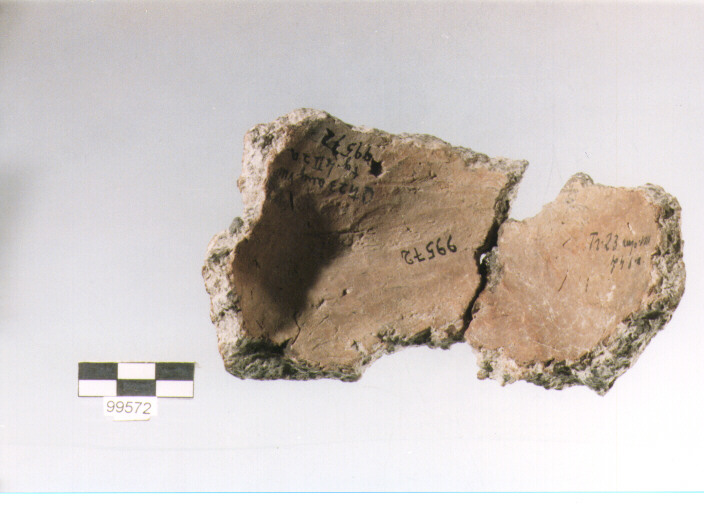 presa, tipo E1a, Ortucchio - eneolitico (III MILLENNIO a.C)