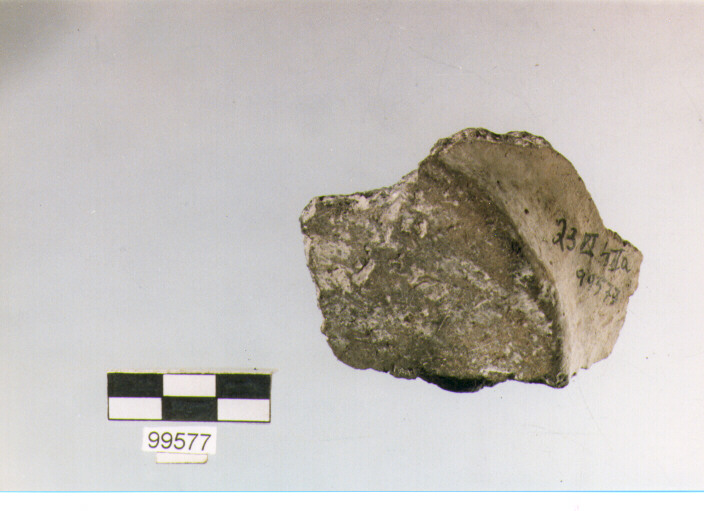 frammento, tipo E3, Ortucchio - eneolitico (III MILLENNIO a.C)