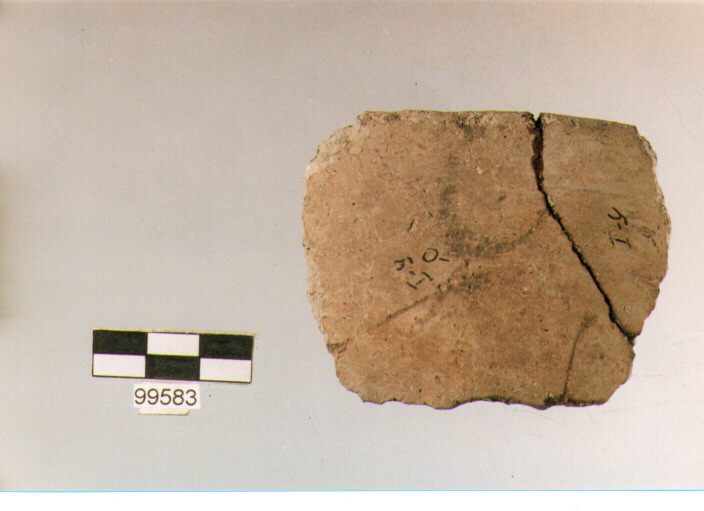 scodella, tipo F 3b, Ortucchio - eneolitico (III MILLENNIO a.C)