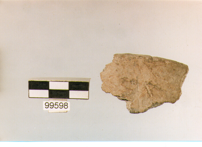 orlo, tipo E 5, Ortucchio - eneolitico (III MILLENNIO a.C)