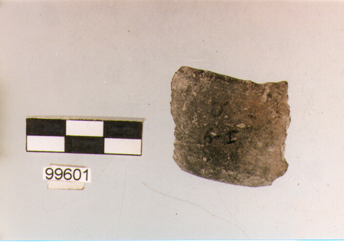 ansa a nastro, tipo A 2, Ortucchio - eneolitico (III MILLENNIO a.C)