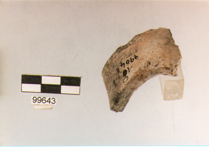 ansa a nastro, tipo A 2, Ortucchio - eneolitico (III MILLENNIO a.C)