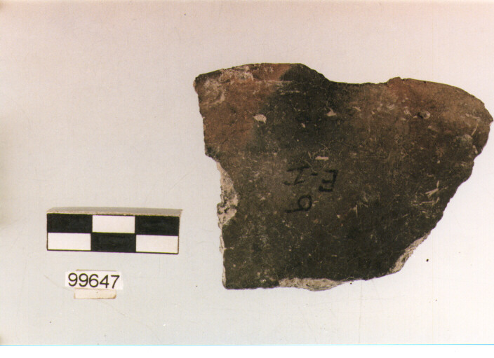 scodella, tipo F3a, Ortucchio - eneolitico (III MILLENNIO a.C)