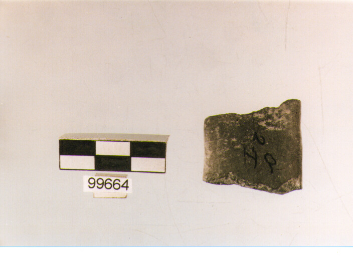 ansa a nastro, tipo A2, Ortucchio - eneolitico (III MILLENNIO a.C)