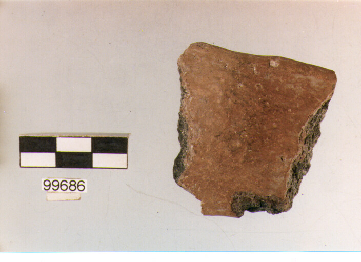 ansa a nastro, tipo A 2, Ortucchio - eneolitico (III MILLENNIO a.C)