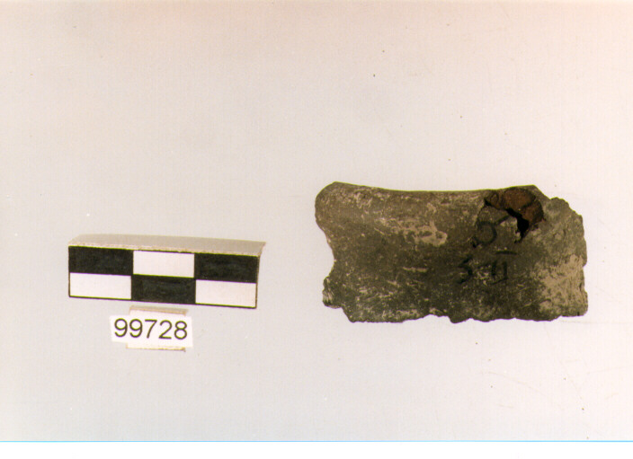 ansa a nastro, tipo A 2, Ortucchio - eneolitico (III MILLENNIO a.C)