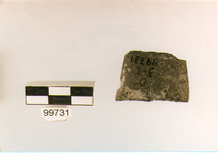 ansa a nastro, tipo A 2, Ortucchio - eneolitico (III MILLENNIO a.C)