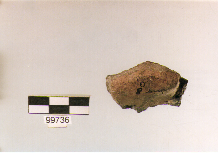 presa, tipo A5a, Ortucchio - eneolitico (III MILLENNIO a.C)