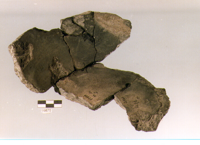 frammento, tipo E3, Ortucchio - eneolitico (III MILLENNIO a.C)