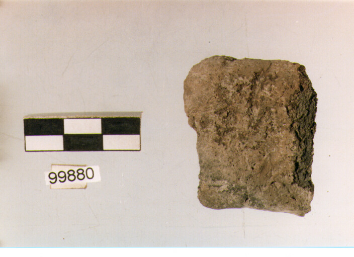 ansa a nastro, tipo A2, Ortucchio - eneolitico (III MILLENNIO a.C)