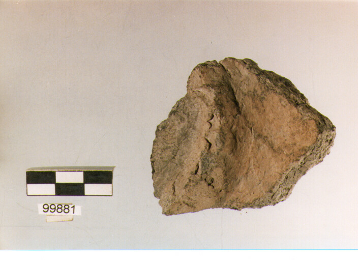 parete cordonata, tipo E7, Ortucchio - eneolitico (III MILLENNIO a.C)