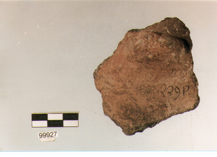 presa, tipo A5a, Ortucchio - eneolitico (III MILLENNIO a.C)