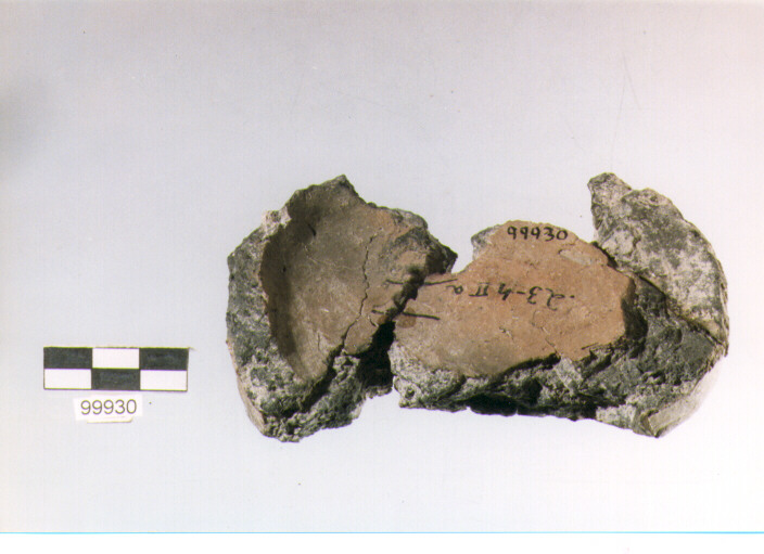 frammento, tipo E3, Ortucchio - eneolitico (III MILLENNIO a.C)