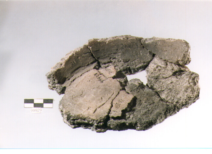 frammento, tipo E3, Ortucchio - eneolitico (III MILLENNIO a.C)