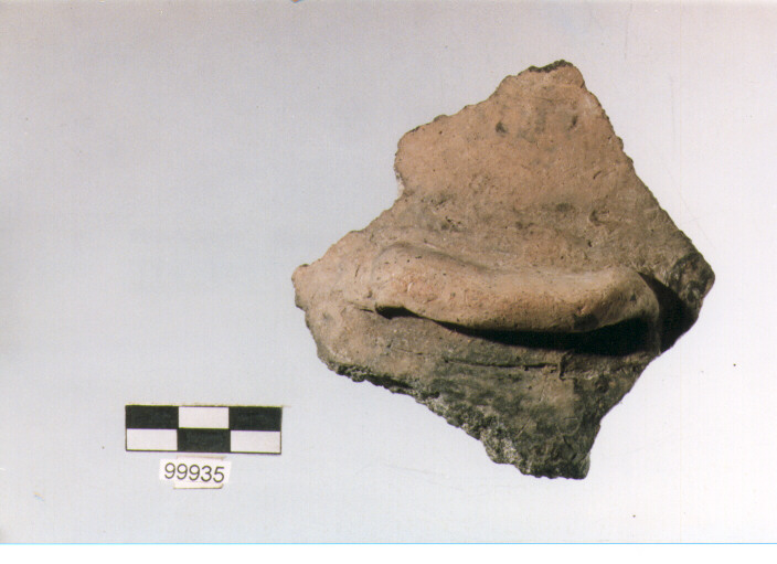 presa, tipo A5a, Ortucchio - eneolitico (III MILLENNIO a.C)