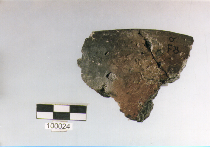 scodella, tipo F3a, Ortucchio - eneolitico (III MILLENNIO a.C)