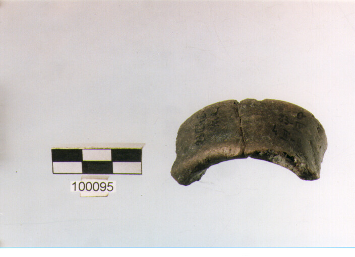 ansa a nastro, tipo A2, Ortucchio - eneolitico (III MILLENNIO a.C)