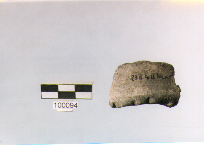 ansa a nastro, tipo A2, Ortucchio - eneolitico (III MILLENNIO a.C)