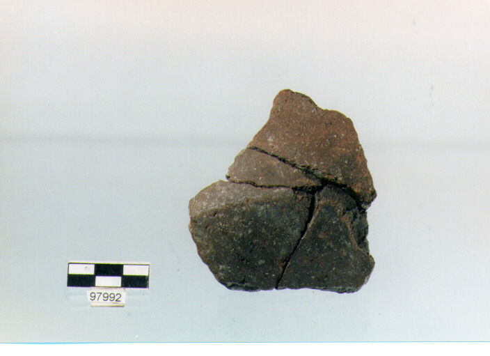 ciotola carenata/ frammento (età del bronzo medio)