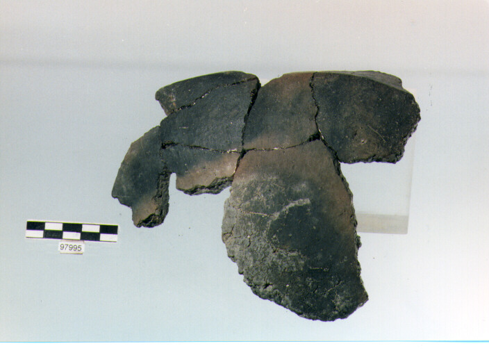 ciotola carenata/ vasca (età del bronzo medio)