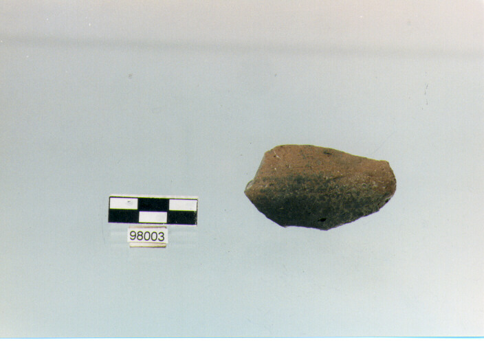 ciotola carenata/ frammento (età del bronzo medio)