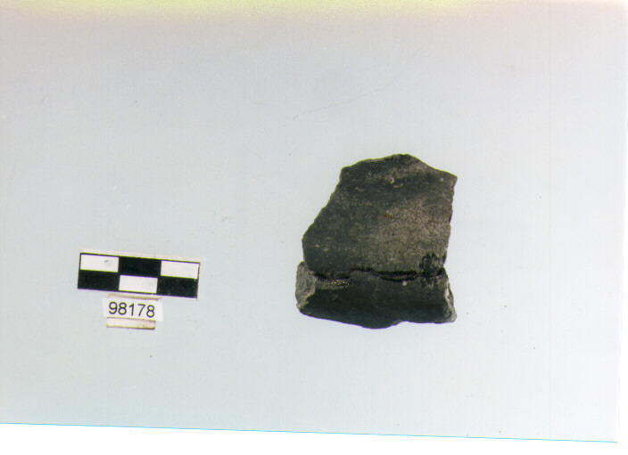 carena (età del Bronzo medio)